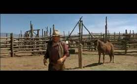 John Wayne, Cowboys (1972)